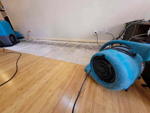 Professional Basement Flood Cleanup technician working in Wyncote, PA